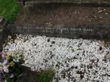 image of grave number 82122